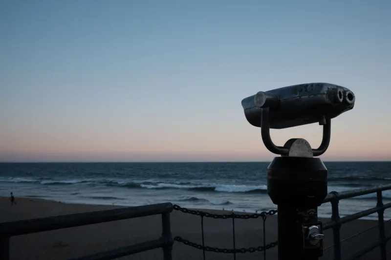 Neighbors of the Deep: How Amateur Observers Are Quietly Transforming Southern Resident Science